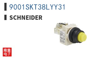 9001SKT38LYY31