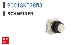 9001SKT38W31