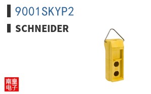 9001SKYP2