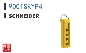 9001SKYP4