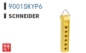 9001SKYP6