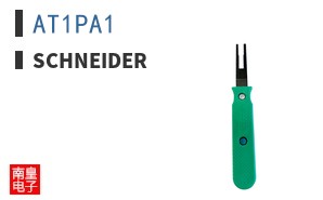 AT1PA1
