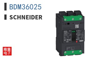 BDM36025