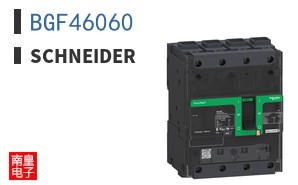 BGF46060