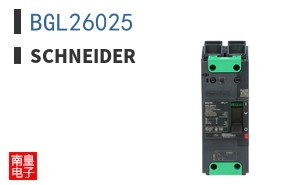 BGL26025