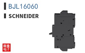 BJL16060