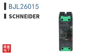 BJL26015