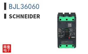 BJL36060