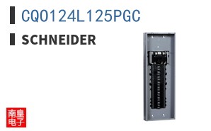 CQO124L125PGC