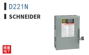 D221N