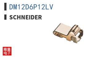 DM12D6P12LV