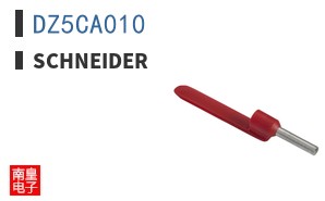 DZ5CA010