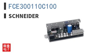 FCE300110C100