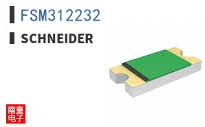 FSM312232