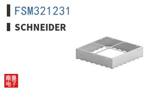 FSM321231