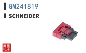 GM241819