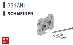 GS1AN11