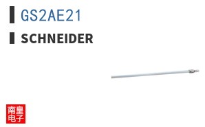 GS2AE21