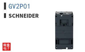 GV2P01