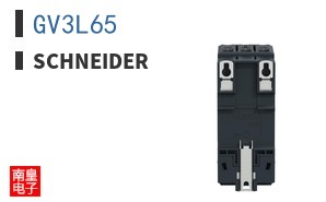 GV3L65