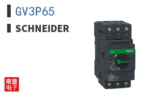 GV3P65