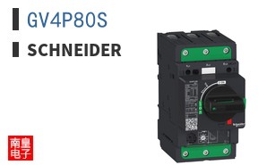 GV4P80S