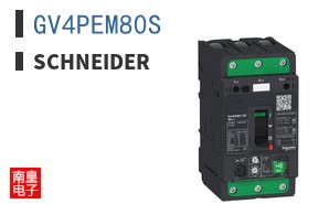 GV4PEM80S