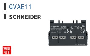 GVAE11