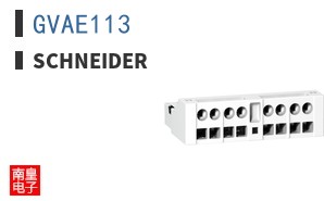 GVAE113