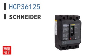 HGP36125