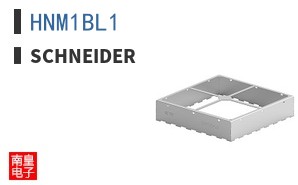 HNM1BL1
