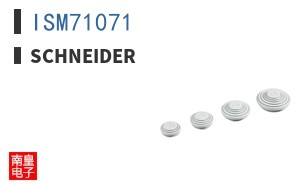 ISM71071