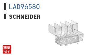 LAD96580