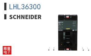 LHL36300