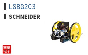 LSBG203