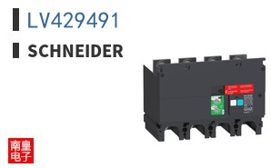 LV429491