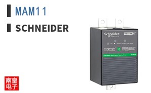 MAM11