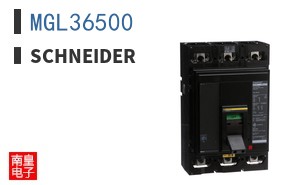 MGL36500