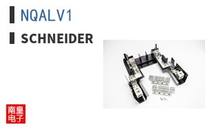 NQALV1