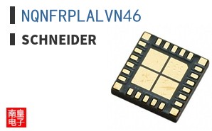 NQNFRPLALVN46