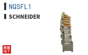NQSFL1