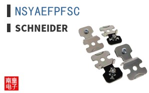 NSYAEFPFSC