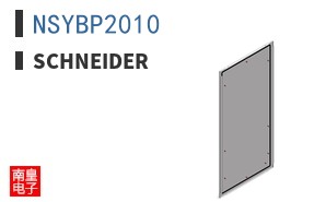 NSYBP2010