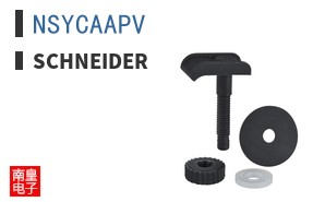 NSYCAAPV