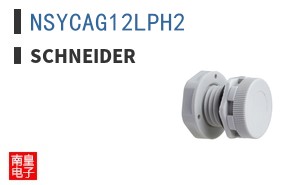 NSYCAG12LPH2