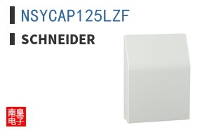 NSYCAP125LZF