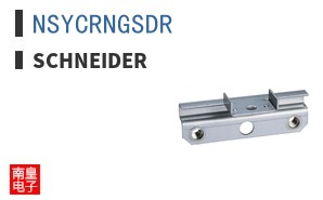 NSYCRNGSDR