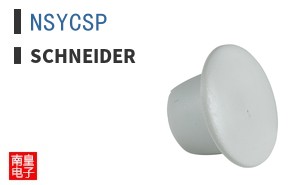 NSYCSP