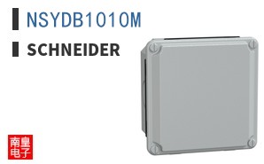 NSYDB1010M