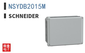 NSYDB2015M